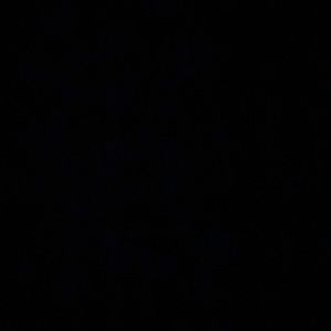 Meet your Posher, Nahzir